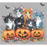 Halloween-WS 1354